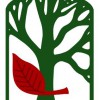 Pine Creek Lumber