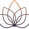 Ideal Wellness Family Practice