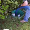 Norsky Septic Service