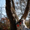John's Landscaping & Tree Service