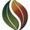 Seasons Consulting Solutions