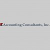 Accounting Consultants