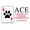 Absolute Canine Experience