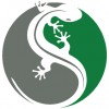 Green Gecko IT