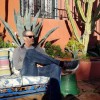 Los Feliz Lodge