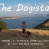 The Dogista