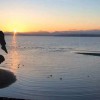 LakeView Yoga