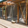 Can Rover Come Over Kennels