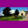 High Meadows Farms