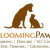 Canine Companions