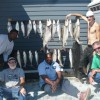 My Mistress Charters