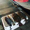 Any Tide Fishing Charters