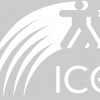 International Consulting Group