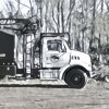 Beaver Tree Service & Stump Grinding