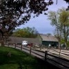 Beech Hill Farm