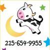 Little Diddle Preschool