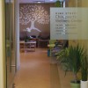 Alexandria Chiropractor