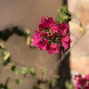 Tuscan Springs Hotel & Spa