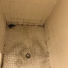 Mold Detective