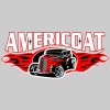 Americoat Powder Coating