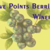 Five Points Berries Winery