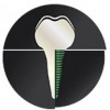 Amit Vora, DDS