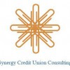 Synergy Credit Union Consulting