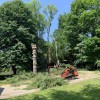 Carr Tree & Timber
