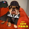 Buford Roofing & Construction