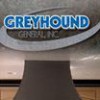 Greyhound General