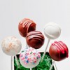 Surprise Surprise Bake Shop
