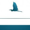 Great Blue Pool Supply