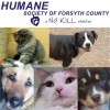 Humane Society Of Forsyth County GA
