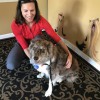 Happy Tails Pet Resort