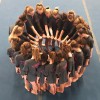 Meadowview Gymnastics Academy