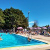 Somerset Swim Club