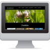 indiGraphics Design