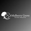 Mulberry Grove Animal Hospital