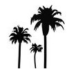 Desert Wellness Psychiatry