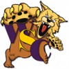 Warwick Soccer League