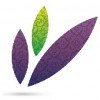 Four Seasons Laser Center