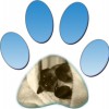 Susy's Pet Care