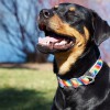 McWags Pet Care
