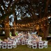 Stella Plantation