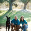 Woofs & Wags