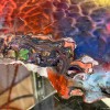 Lile Art Gallery