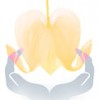New Haven Reiki