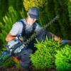 Bucks County Tree Removal