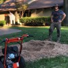 Jennings' Tree Service