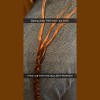 Passion Hair Salon